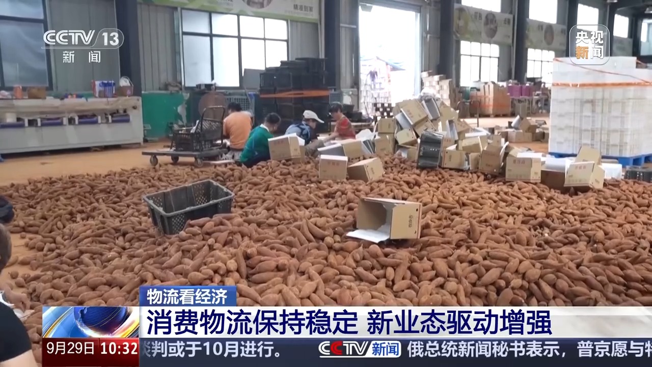 
北京同仁医院黄牛代挂号电话票贩子号贩子网上预约挂号,住院检查加快,1—8月份全国社会物流总额接近230万亿元
