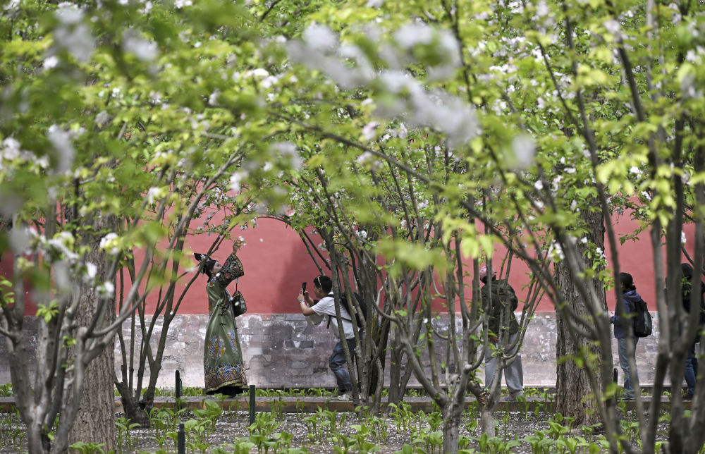 
杭州市一医院黄牛代挂号电话票贩子号贩子网上预约挂号,住院检查加快,新华社出图：这次是故宫！