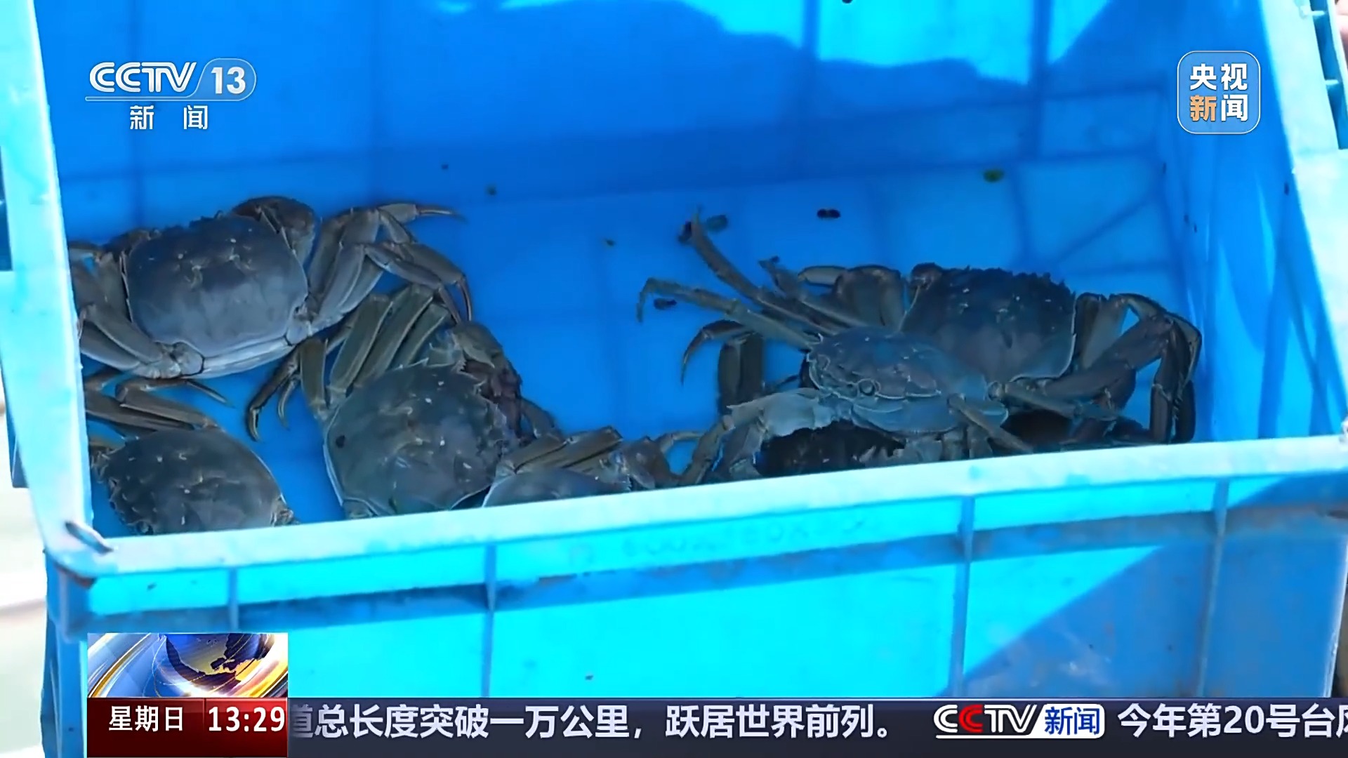 
北京协和医院黄牛代挂号电话票贩子号贩子网上预约挂号,住院检查加快,古法晒虾、板栗烧鸡 各地宝藏秋日鲜味已上桌