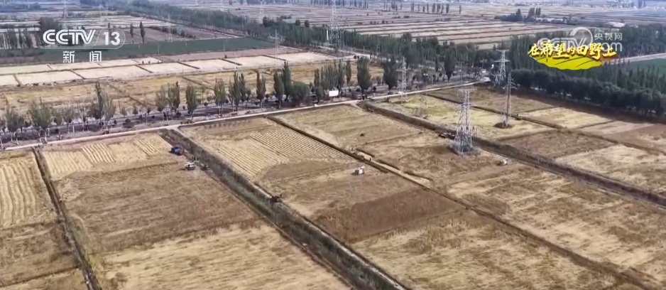 
北京积水潭医院黄牛代挂号电话票贩子号贩子网上预约挂号,住院检查加快,希望的田野满满“科技范” 智慧农业绘就千里沃野好“丰”景