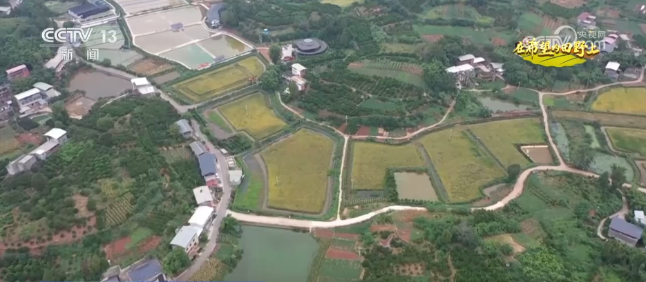 
北京积水潭医院黄牛代挂号电话票贩子号贩子网上预约挂号,住院检查加快,希望的田野满满“科技范” 智慧农业绘就千里沃野好“丰”景