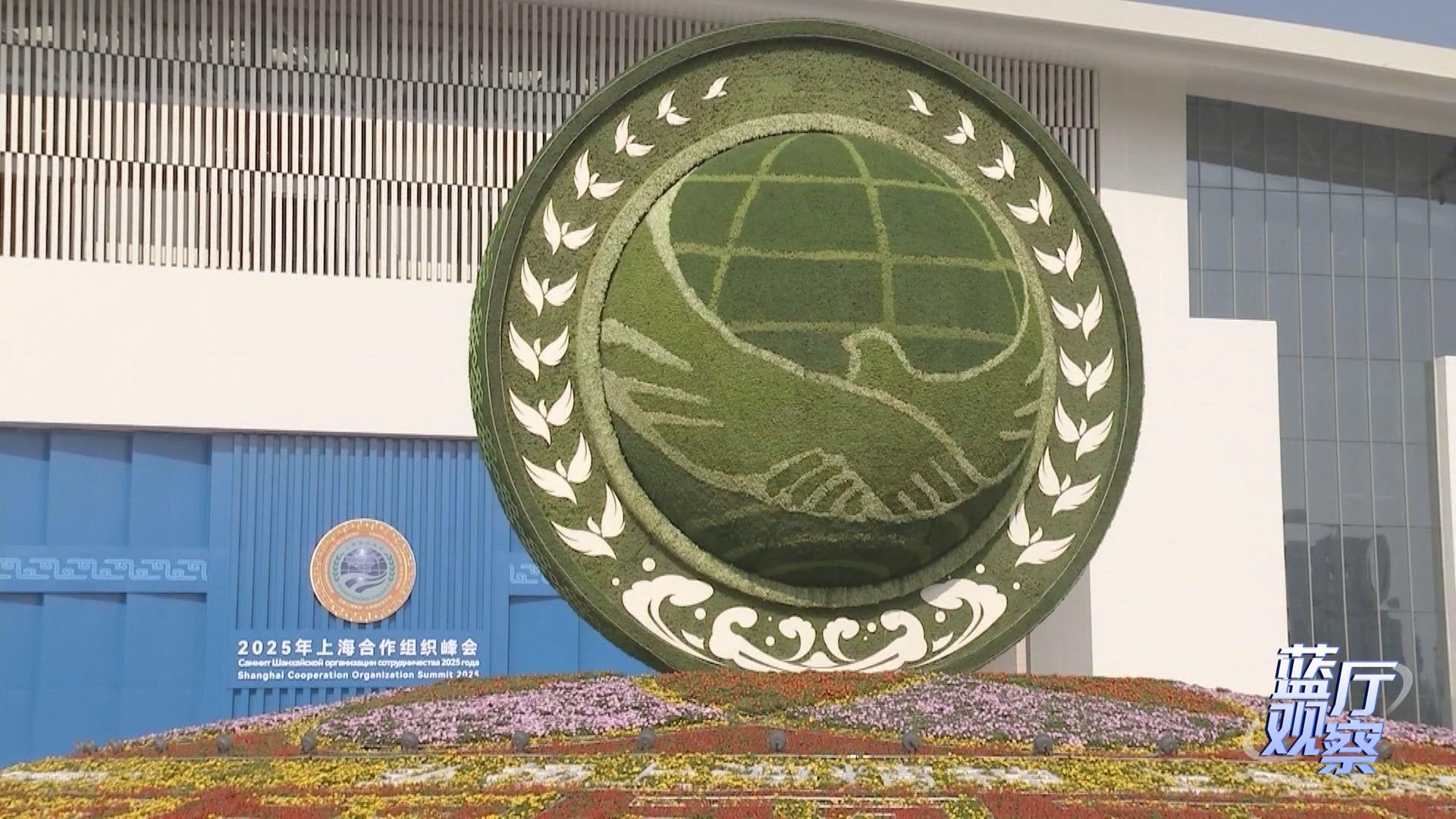
上海儿童医院黄牛代挂号电话票贩子号贩子网上预约挂号,住院检查加快,蓝厅观察丨面对全球变革 中国行动引领上合大家庭携手前行