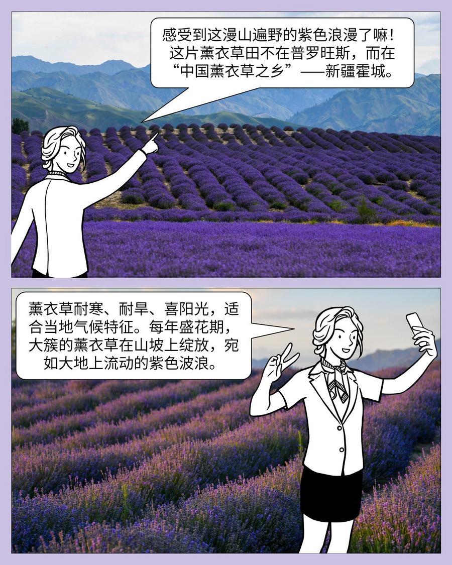 
杭州市三医院黄牛代挂号电话票贩子号贩子网上预约挂号,住院检查加快,中国印记｜微缩摄影看新疆：产业篇