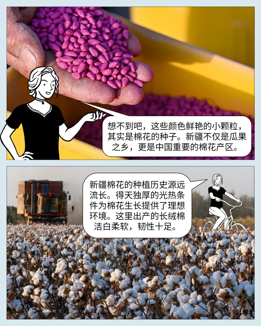 
杭州市三医院黄牛代挂号电话票贩子号贩子网上预约挂号,住院检查加快,中国印记｜微缩摄影看新疆：产业篇