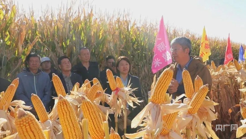 
首都医科院整形外科医院黄牛代挂号电话票贩子号贩子网上预约挂号,住院检查加快,新质新造·兵团丨科技赋能 玉米单产再攀新高