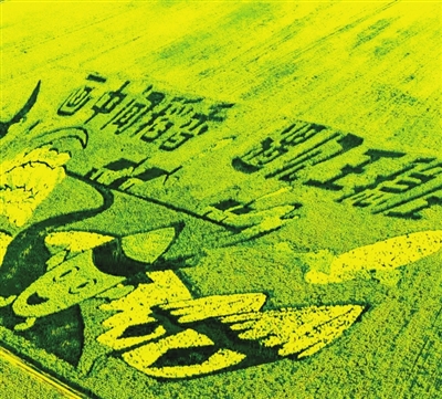 
浙江省同德医院黄牛代挂号电话票贩子号贩子网上预约挂号,住院检查加快,稻梦空间 津秋入画——解码“大地艺术”如何激活乡村振兴新动能