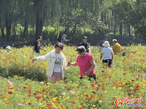 
上海瑞金医院黄牛代挂号电话票贩子号贩子网上预约挂号,住院检查加快,何以中国·理想都城｜数字化技术再现圆明园昔日辉煌盛景