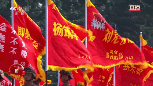 
首都医科大学附属北京口腔医院黄牛代挂号电话票贩子号贩子网上预约挂号,住院检查加快,“杨靖宇支队”，接受检阅！