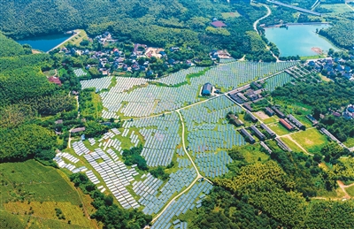 
南京眼科医院黄牛代挂号电话票贩子号贩子网上预约挂号,住院检查加快,荒山变“金山”（侨乡新貌）