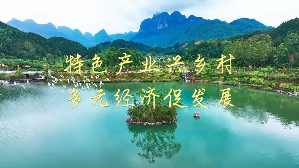 
上海肿瘤医院黄牛代挂号电话票贩子号贩子网上预约挂号,住院检查加快,新华视点｜特色产业兴乡村 多元经济促发展