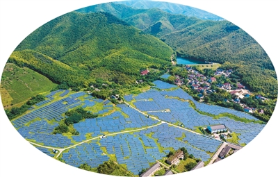 
南京眼科医院黄牛代挂号电话票贩子号贩子网上预约挂号,住院检查加快,荒山变“金山”（侨乡新貌）