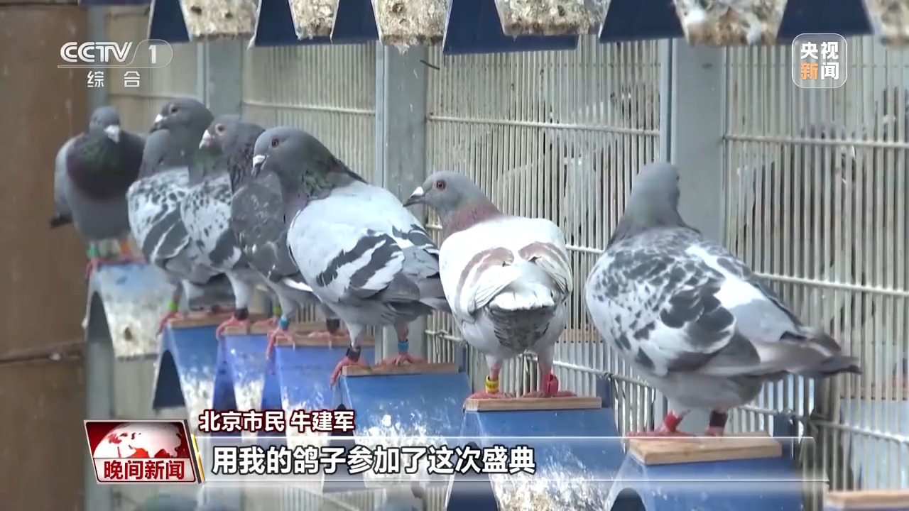 
山东大学齐鲁医院黄牛代挂号电话票贩子号贩子网上预约挂号,住院检查加快,习近平总书记在纪念大会上的重要讲话激励社会各界踔厉奋发勇毅前行