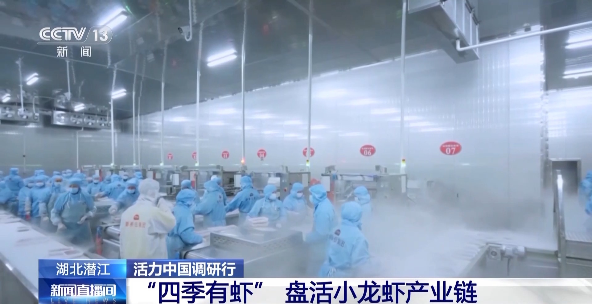 
天津儿童医院黄牛代挂号电话票贩子号贩子网上预约挂号,住院检查加快,活力中国调研行丨湖北潜江大个儿“炮头虾”正“四季速达”你的餐桌