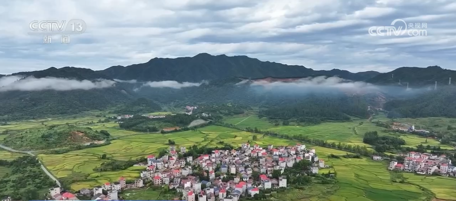 
南京各大医院黄牛代挂号电话票贩子号贩子网上预约挂号,住院检查加快,“科学化管理+技术创新”助力增产增效 希望的田野处处好“丰”光