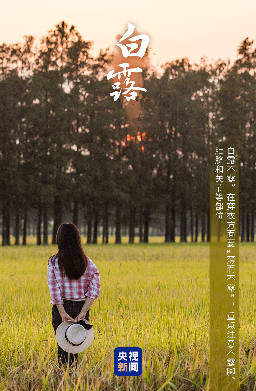 
医学科学院整形外科医院黄牛号贩子票贩子代网上预约代挂号电话今日白露，一组海报带你感受秋意渐浓