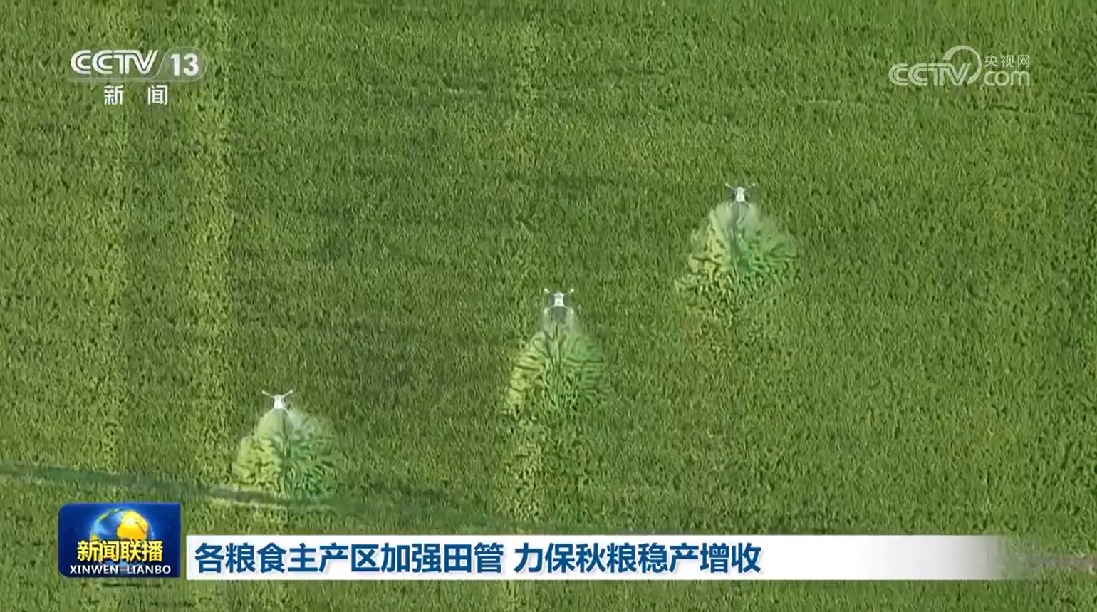 
东部战区总医院黄牛代挂号电话票贩子号贩子网上预约挂号,住院检查加快,各粮食主产区加强田管 力保秋粮稳产增收