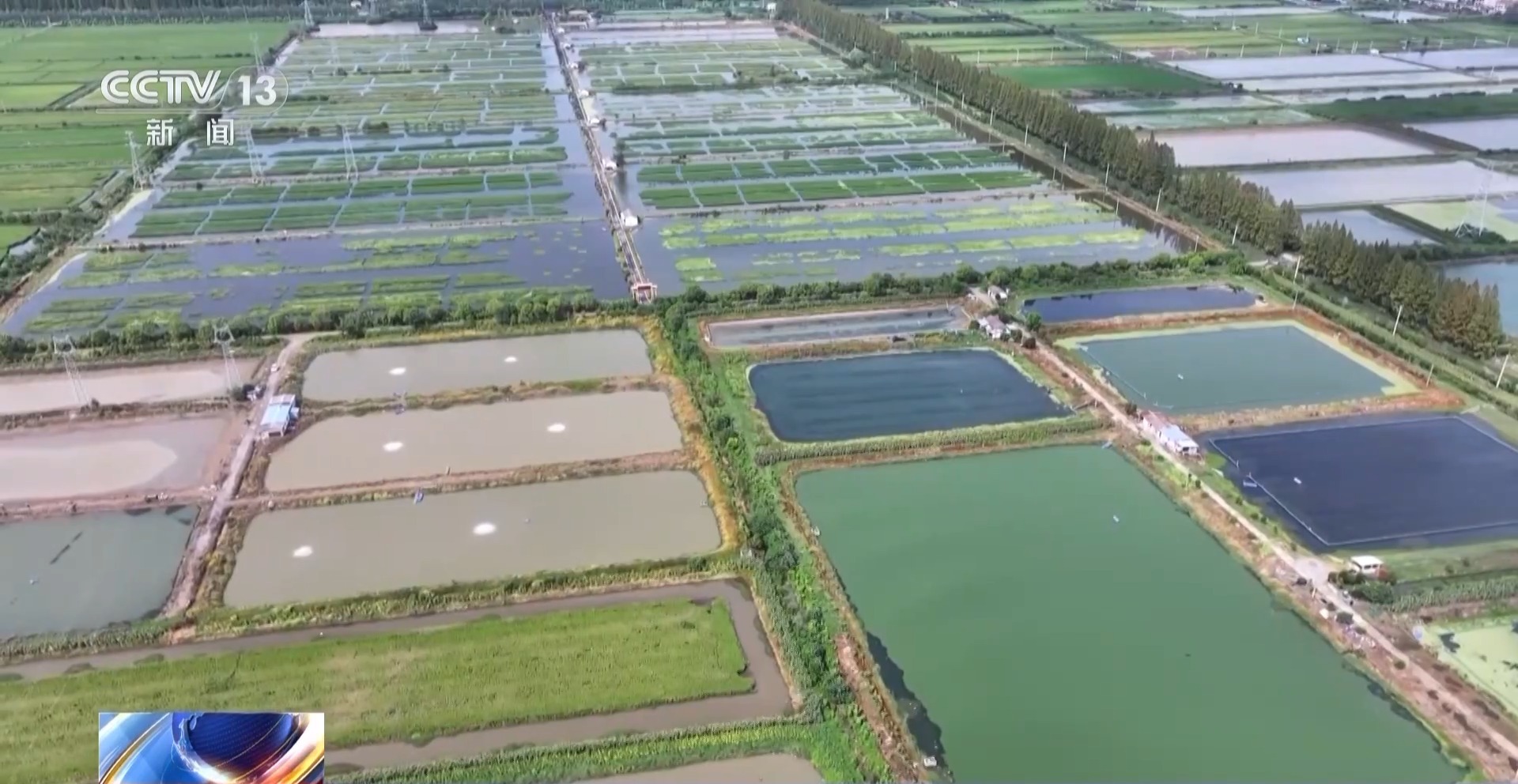 
天津儿童医院黄牛代挂号电话票贩子号贩子网上预约挂号,住院检查加快,活力中国调研行丨湖北潜江大个儿“炮头虾”正“四季速达”你的餐桌