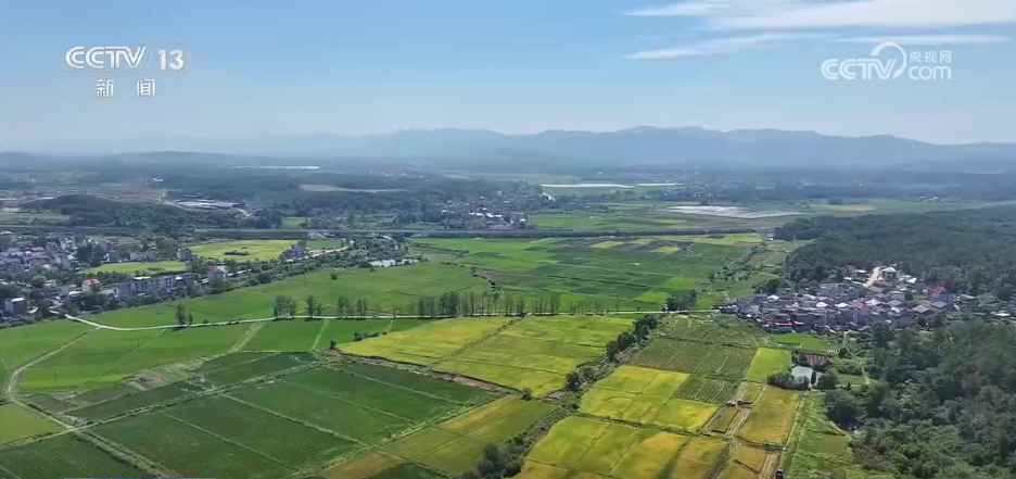 
南京各大医院黄牛代挂号电话票贩子号贩子网上预约挂号,住院检查加快,“科学化管理+技术创新”助力增产增效 希望的田野处处好“丰”光