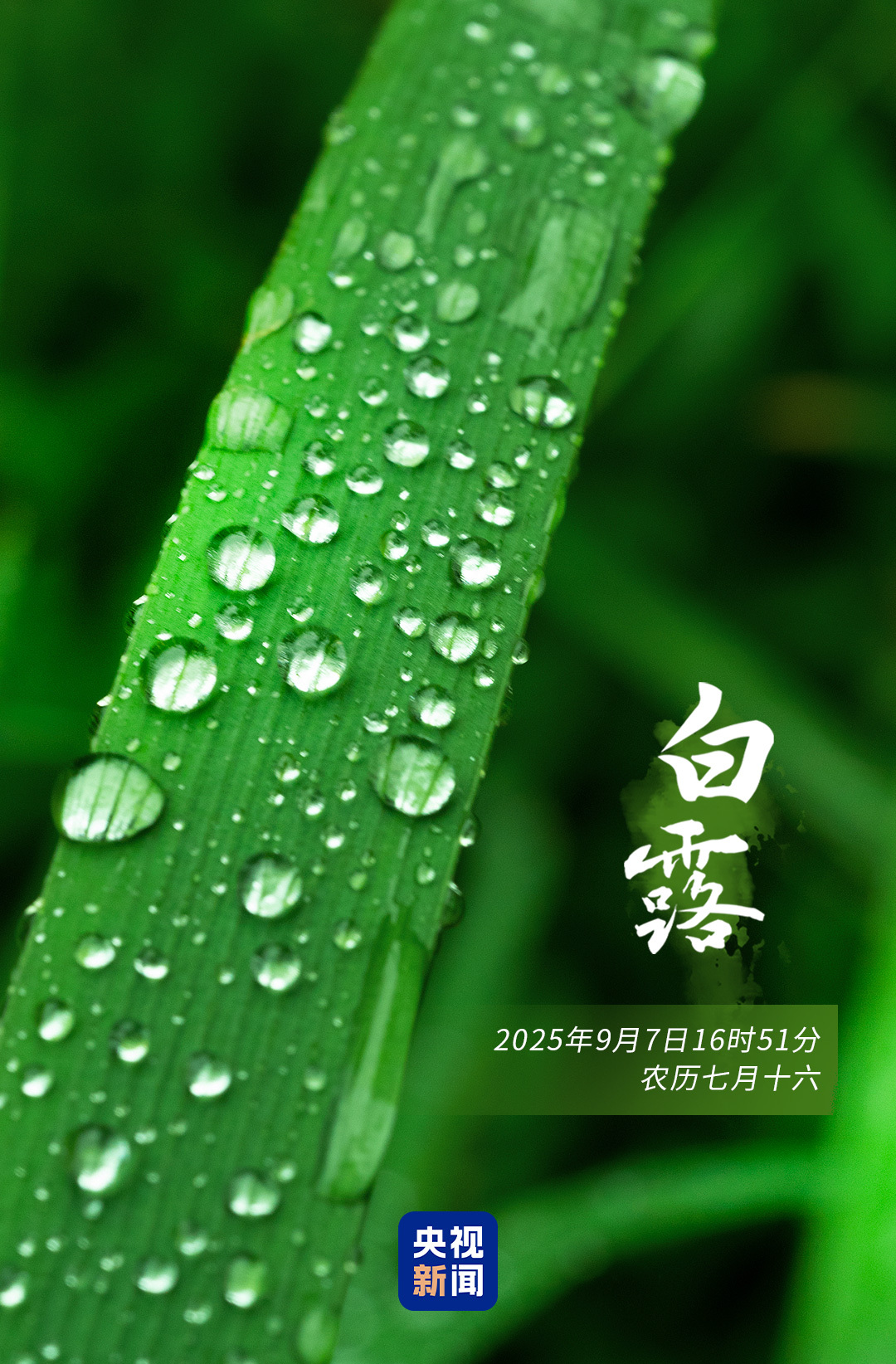 
医学科学院整形外科医院黄牛号贩子票贩子代网上预约代挂号电话今日白露，一组海报带你感受秋意渐浓