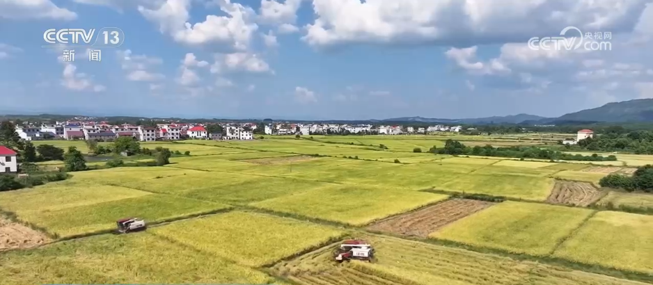 
南京各大医院黄牛代挂号电话票贩子号贩子网上预约挂号,住院检查加快,“科学化管理+技术创新”助力增产增效 希望的田野处处好“丰”光