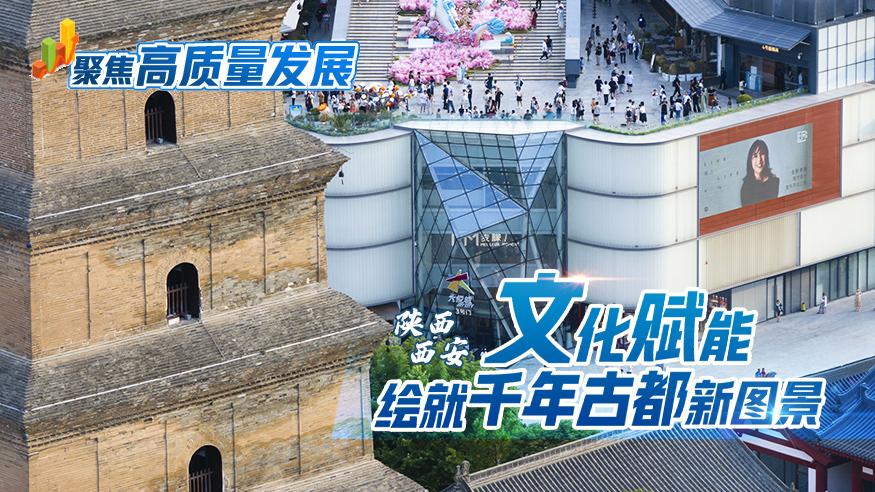 
北京各大医院黄牛代挂号电话票贩子号贩子网上预约挂号,住院检查加快,聚焦高质量发展丨陕西西安：文化赋能绘就千年古都新图景