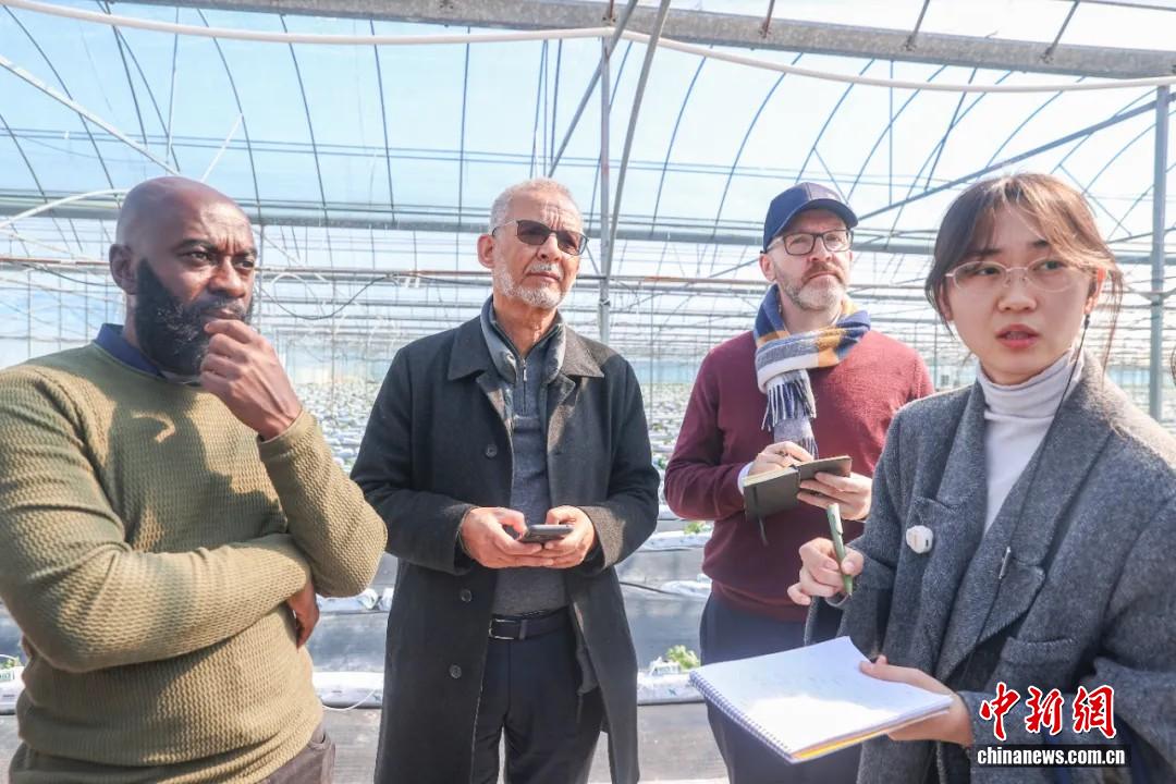 
首都医科大学附宣武医院黄牛代挂号电话票贩子号贩子网上预约挂号,住院检查加快,东西问丨穆罕默德·曼苏里：中国实践如何助力保障全球粮食安全？