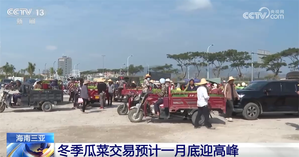 
广州市妇女儿童医疗中心黄牛代挂号电话票贩子号贩子网上预约挂号,住院检查加快,百姓“菜篮子”物丰量足“鲜”味浓 土特产点燃“年货经济”新引擎