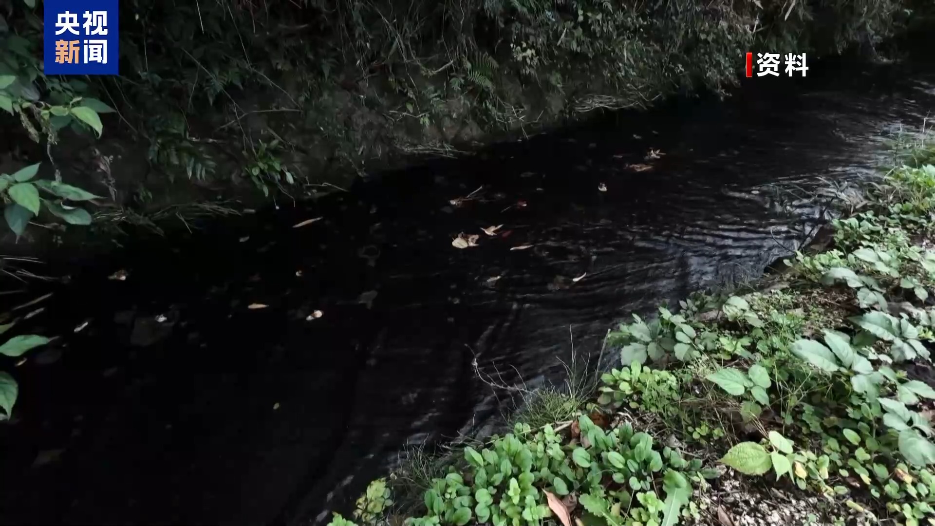 
天津中医药大学第一附属医院黄牛挂号电话日本“永久性化学物”参考摄入标准制定遭质疑