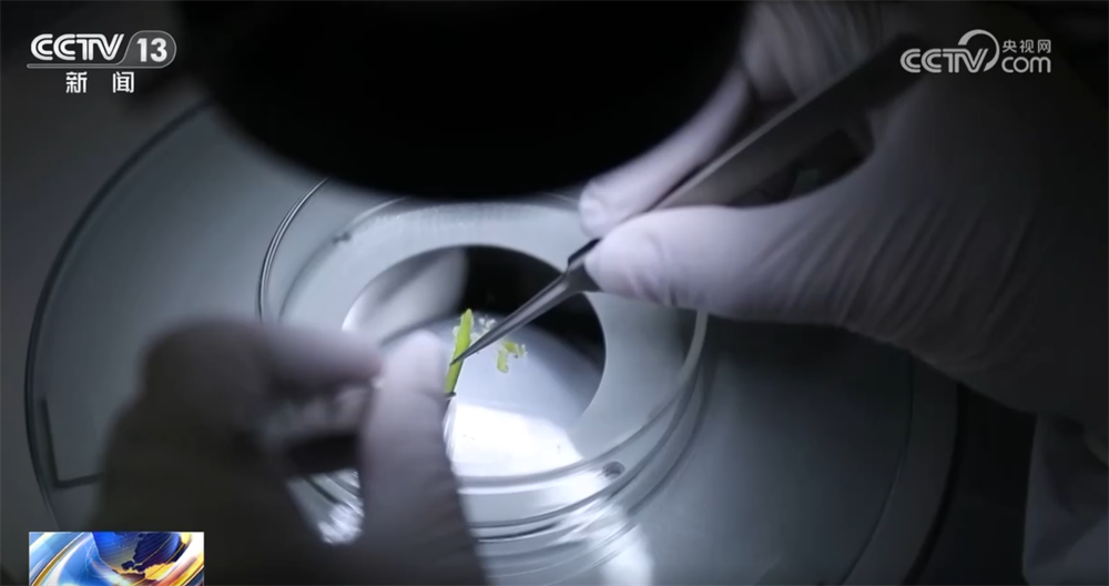 
广州市妇女儿童医疗中心黄牛代挂号电话票贩子号贩子网上预约挂号,住院检查加快,百姓“菜篮子”物丰量足“鲜”味浓 土特产点燃“年货经济”新引擎