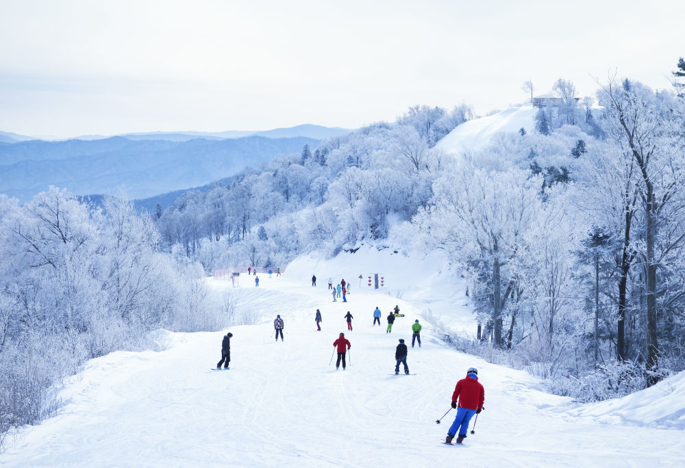 
东部战区总医院黄牛代挂号电话票贩子号贩子网上预约挂号,住院检查加快,镜观·回响｜让冰天雪地成为金山银山