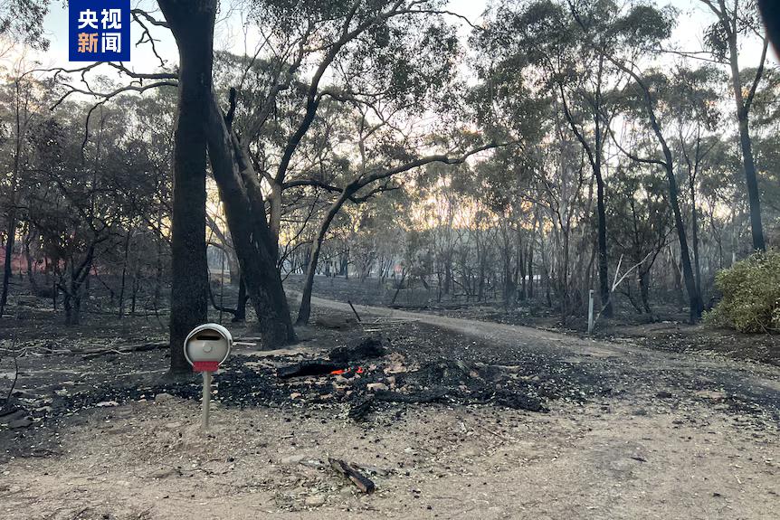 
空军特色医学中心陈瑞萍李强陈杰黄牛挂号电话丛林大火蔓延 澳大利亚维多利亚州进入灾难状态