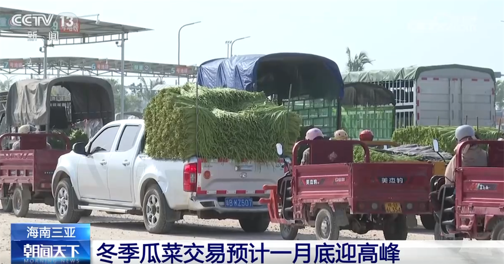 
广州市妇女儿童医疗中心黄牛代挂号电话票贩子号贩子网上预约挂号,住院检查加快,百姓“菜篮子”物丰量足“鲜”味浓 土特产点燃“年货经济”新引擎