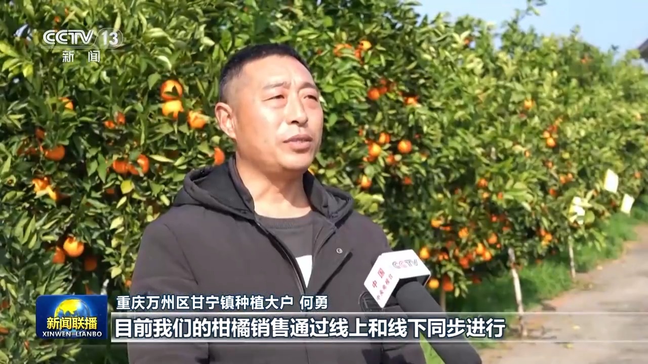 
南京儿童医院黄牛代挂号电话票贩子号贩子网上预约挂号,住院检查加快,“十五五”开好局起好步丨奋发进取 绘就乡村振兴新图景