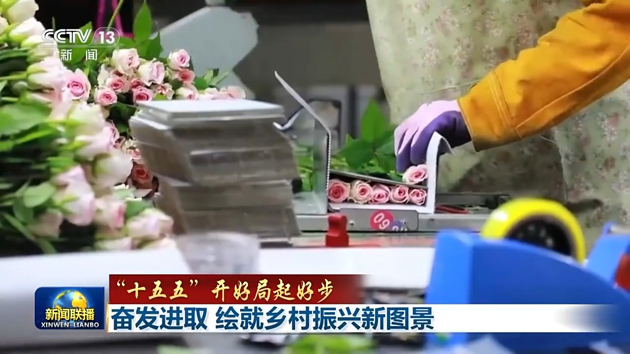 
南京儿童医院黄牛代挂号电话票贩子号贩子网上预约挂号,住院检查加快,“十五五”开好局起好步丨奋发进取 绘就乡村振兴新图景