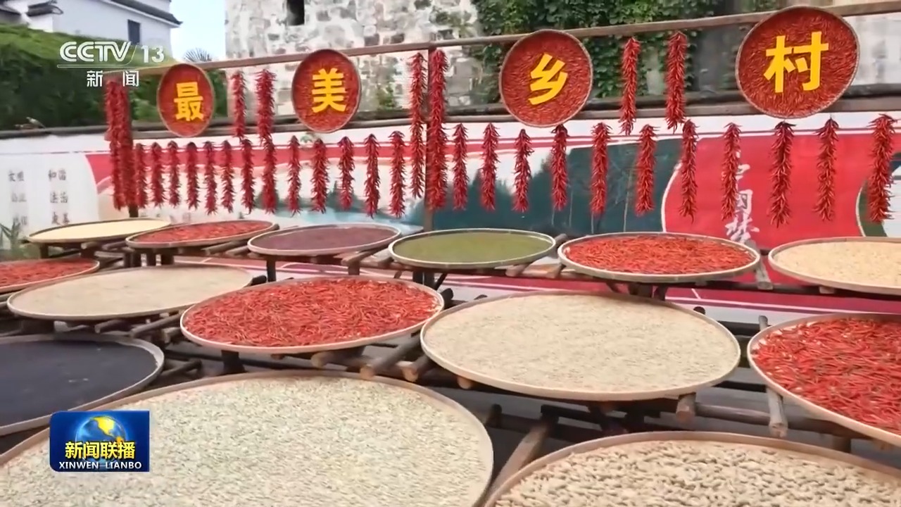 
南京儿童医院黄牛代挂号电话票贩子号贩子网上预约挂号,住院检查加快,“十五五”开好局起好步丨奋发进取 绘就乡村振兴新图景