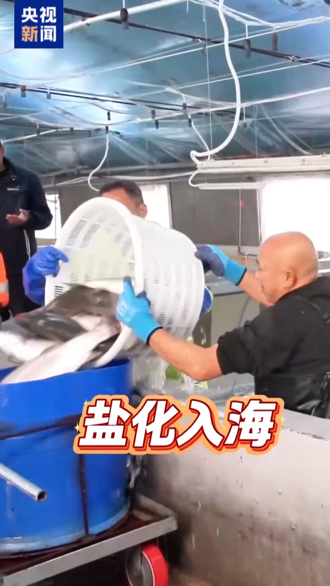 
杭州市一医院黄牛代挂号电话票贩子号贩子网上预约挂号,住院检查加快,“十五五”开好局 起好步丨三文鱼也要“搬家” 陆海接力养殖助力“蓝色粮仓”