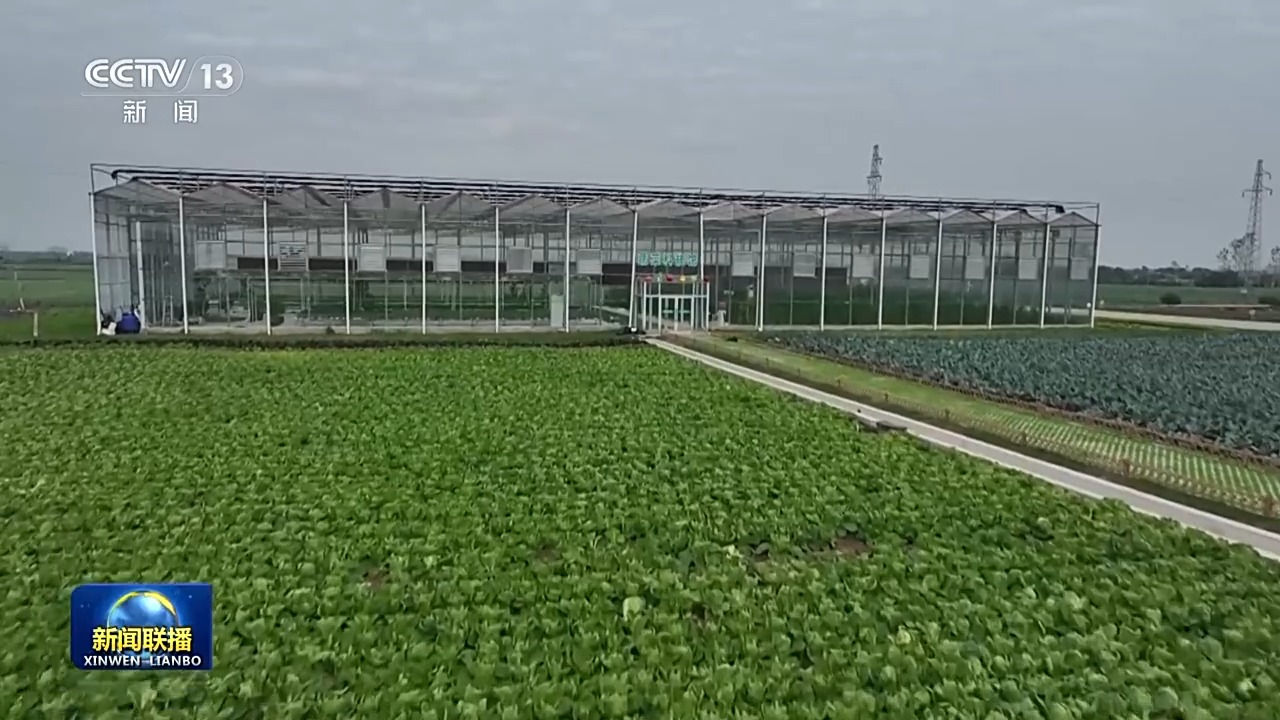 
南京儿童医院黄牛代挂号电话票贩子号贩子网上预约挂号,住院检查加快,“十五五”开好局起好步丨奋发进取 绘就乡村振兴新图景