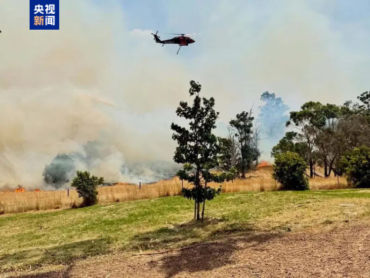 
北大医院黄牛代挂号电话票贩子号贩子网上预约挂号,住院检查加快,澳大利亚发生森林大火 已致1人死亡