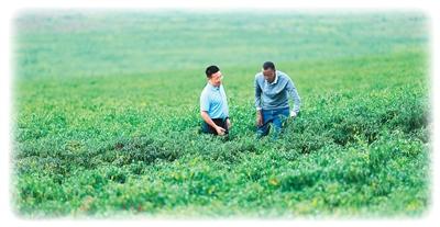
广州市第一人民医院黄牛代挂号电话票贩子号贩子网上预约挂号,住院检查加快,零关税助力非洲好物拓展中国市场（环球热点）