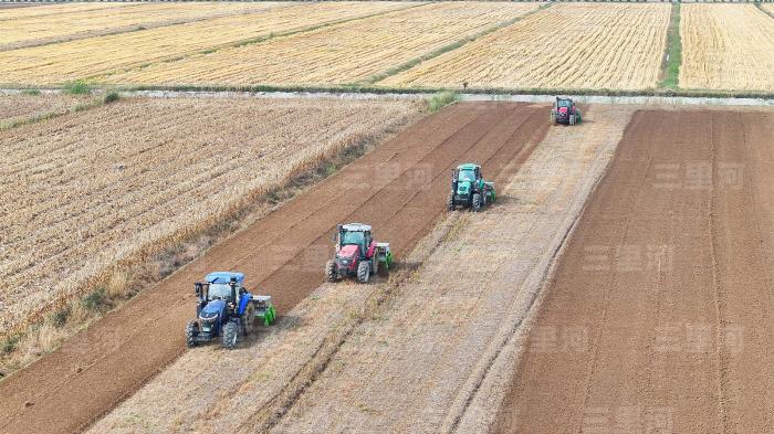 
北京天坛医院黄牛代挂号电话票贩子号贩子网上预约挂号,住院检查加快,中央农村工作会议释放“三农”发展新信号