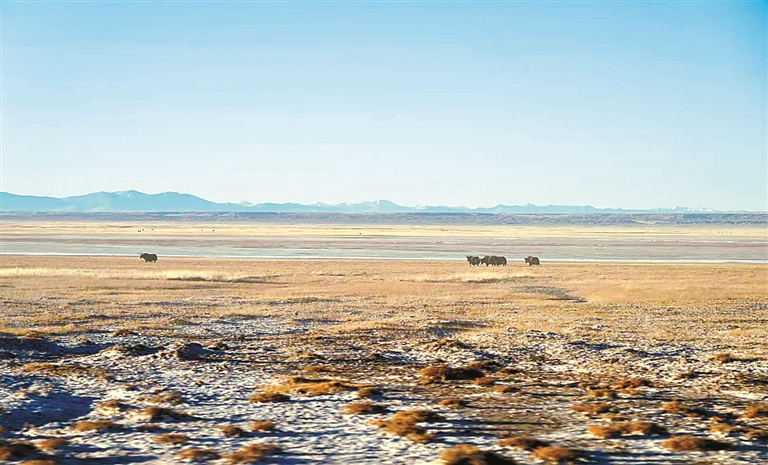 
北京301医院黄牛代挂号电话票贩子号贩子网上预约挂号,住院检查加快,从羌塘到阿尔金山，守护同一片碧水蓝天