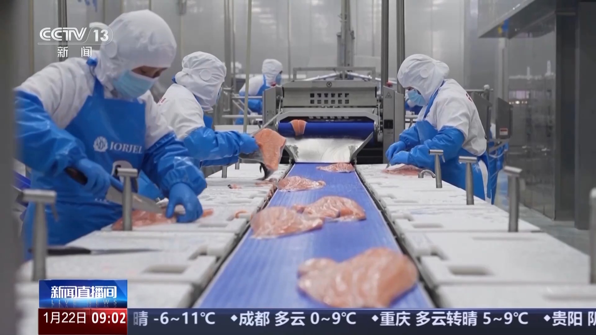 
沈阳医大二院黄牛代挂号电话票贩子号贩子网上预约挂号,住院检查加快,“十五五”开好局起好步丨“空中高速”快速送达 三文鱼48小时通达多地