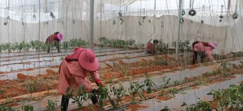 南京军区总医院黄牛代挂号电话票贩子号贩子网上预约挂号,住院检查加快,除冰保畅、踏冰送水、指导生产 多部门精准施策办好民生实事保障百姓生产生活