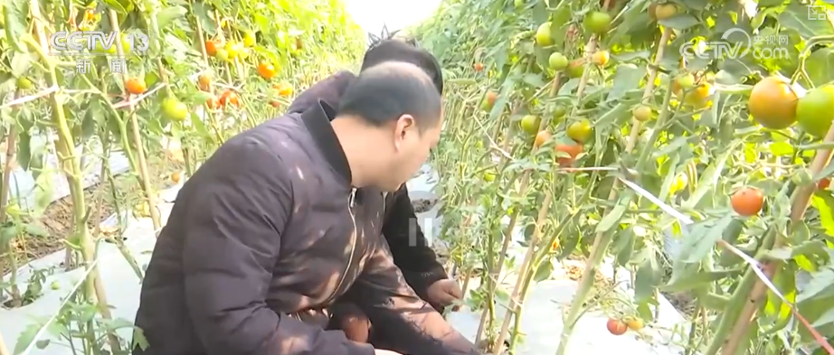 南京军区总医院黄牛代挂号电话票贩子号贩子网上预约挂号,住院检查加快,除冰保畅、踏冰送水、指导生产 多部门精准施策办好民生实事保障百姓生产生活