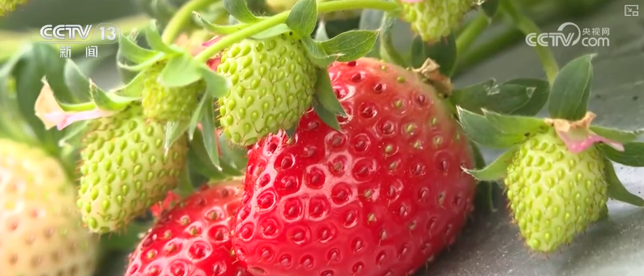 南京军区总医院黄牛代挂号电话票贩子号贩子网上预约挂号,住院检查加快,除冰保畅、踏冰送水、指导生产 多部门精准施策办好民生实事保障百姓生产生活