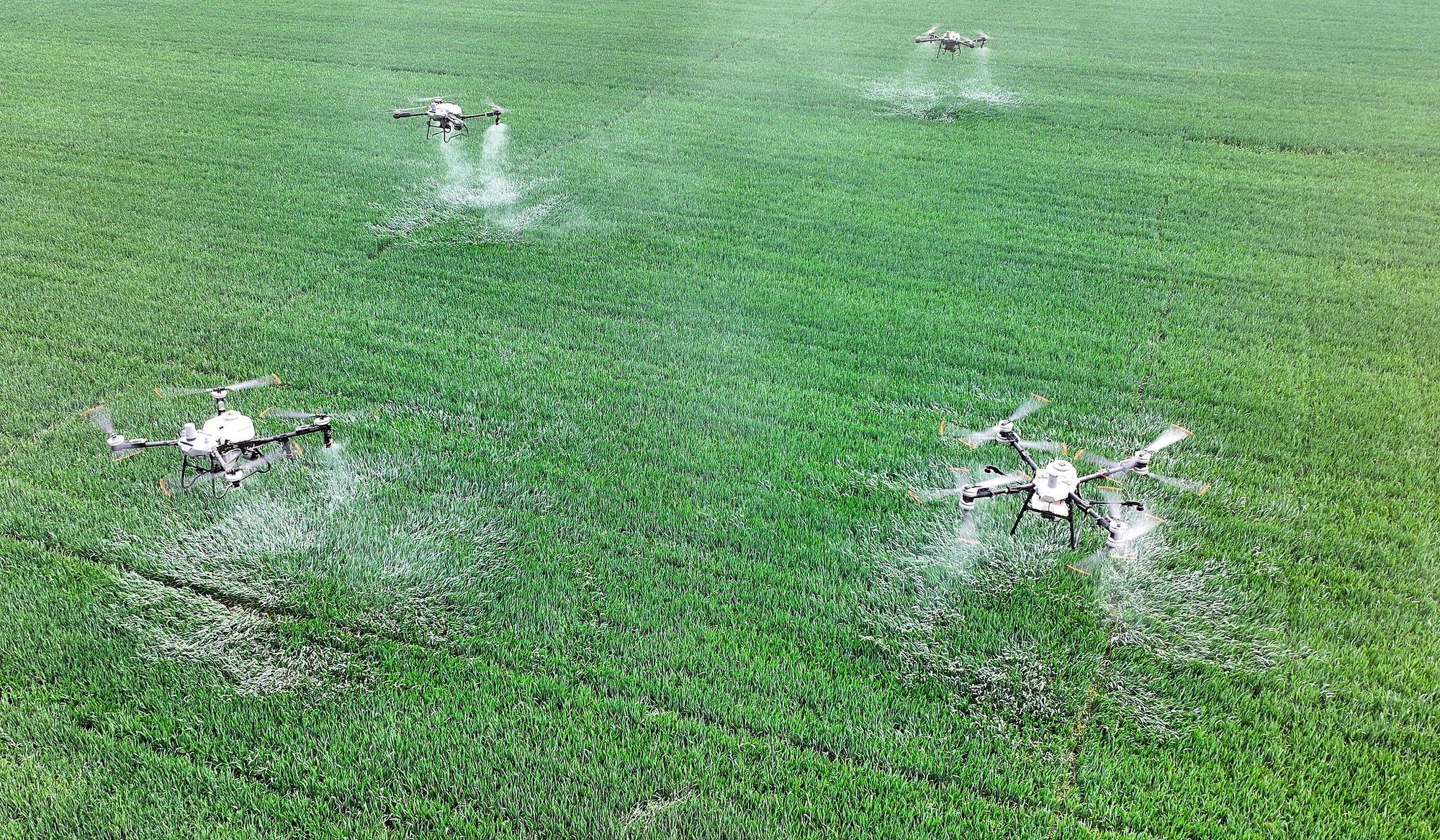 
长春吉大二院黄牛代挂号电话票贩子号贩子网上预约挂号,住院检查加快,晶采观察丨“十五五”开局！新质生产力赋能 中国农业现代化“智慧大升级”