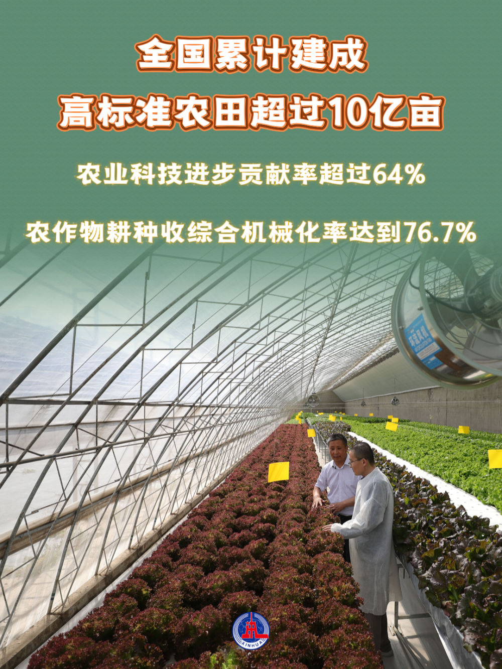 
北京301医院黄牛代挂号电话票贩子号贩子网上预约挂号,住院检查加快,数览成绩单·2025新成就｜成绩喜人，五个角度看2025年“三农”发展新变化