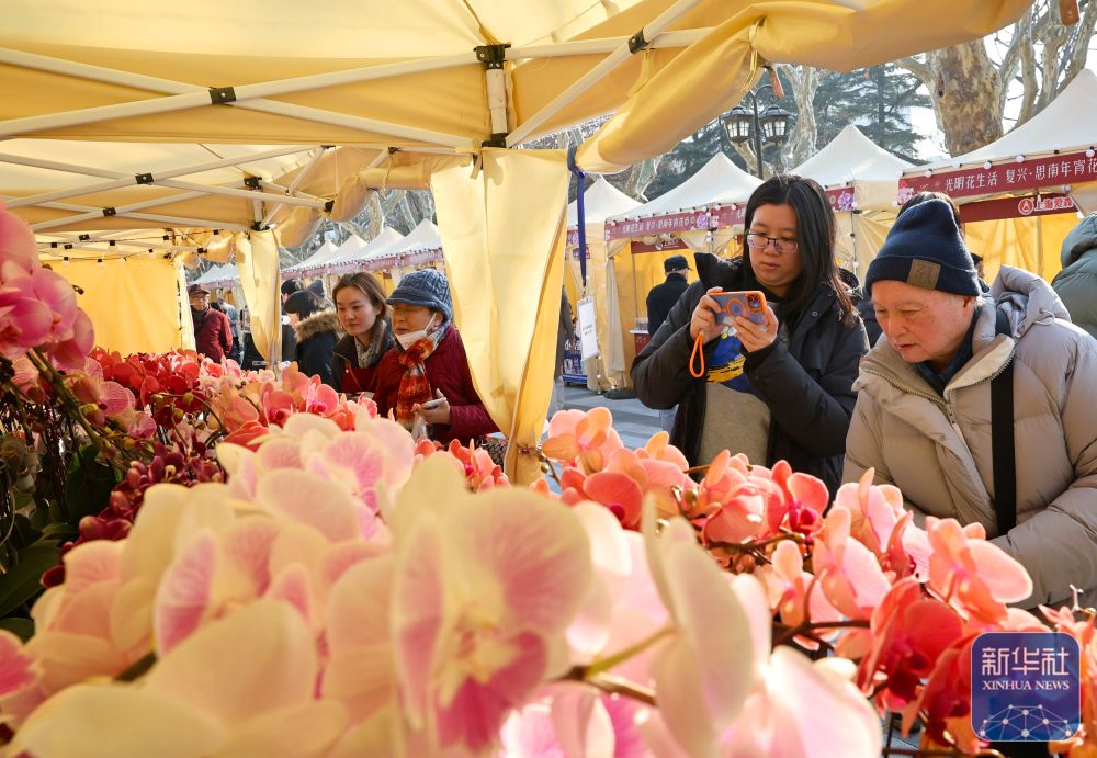 
湖南中医附一医院黄牛代挂号电话票贩子号贩子网上预约挂号,住院检查加快,年味渐浓迎新春