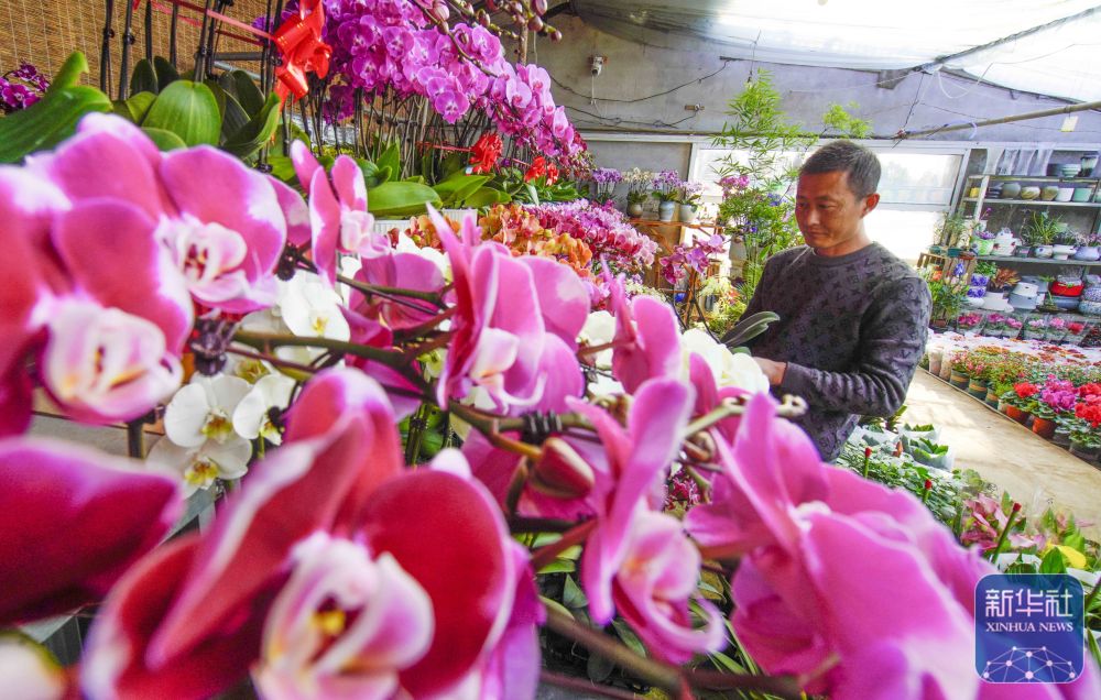 
湖南中医附一医院黄牛代挂号电话票贩子号贩子网上预约挂号,住院检查加快,年味渐浓迎新春