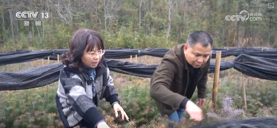 南京军区总医院黄牛代挂号电话票贩子号贩子网上预约挂号,住院检查加快,除冰保畅、踏冰送水、指导生产 多部门精准施策办好民生实事保障百姓生产生活